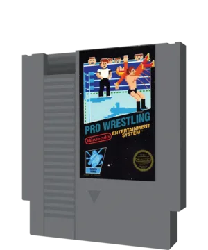 Pro Wrestling