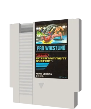 Pro Wrestling