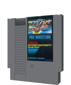 Pro Wrestling
