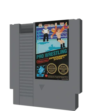 Pro Wrestling