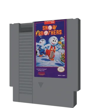 Snow Brothers