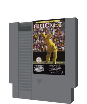 International Cricket
