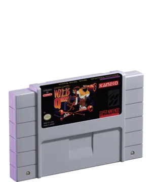 Chester Cheetah: Wild Wild Quest