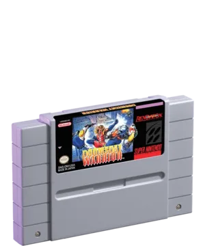 Doomsday Warrior