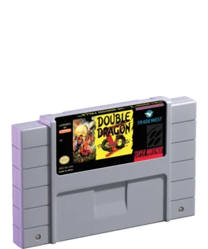 Double Dragon V: The Shadow Falls