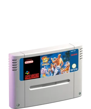 Fatal Fury Special