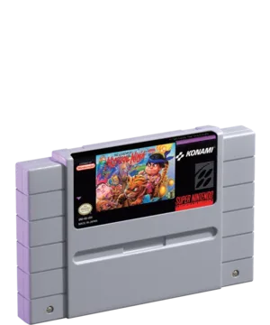 The Legend of the Mystical Ninja