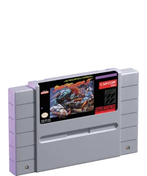 Street Fighter II: The World Warrior