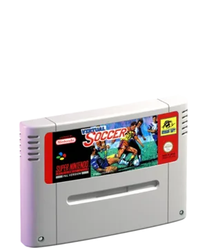 Virtual Soccer
